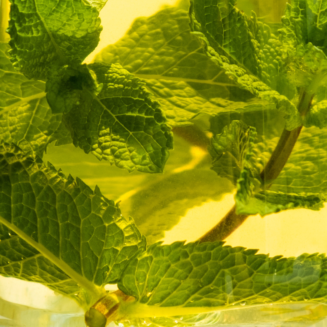 Ice Tea Mint